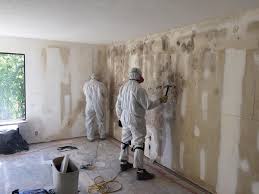 Why You Should Choose Our Mold Remediation Services in Woodland Heights, PA